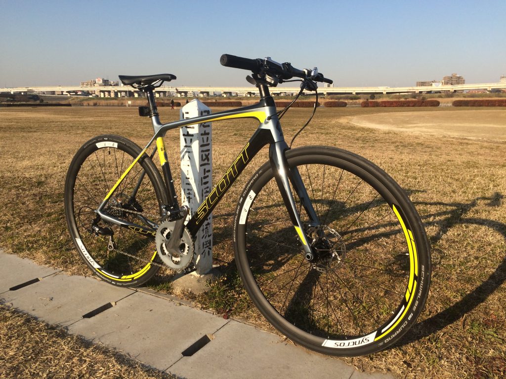 Scott Solace 15 Disc 2015